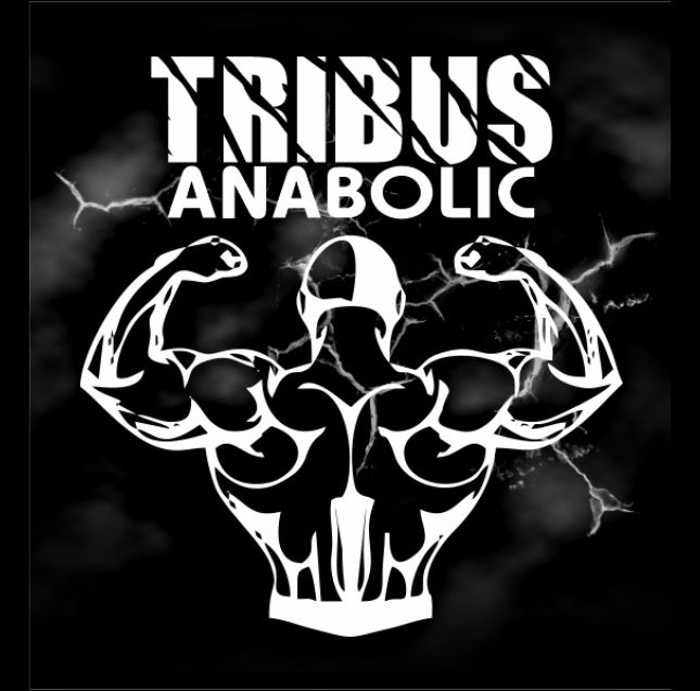 Anabolic Testo 1000mg (120 caps)