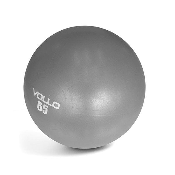 Gym Ball c/Bomba (65cm) - Cinza