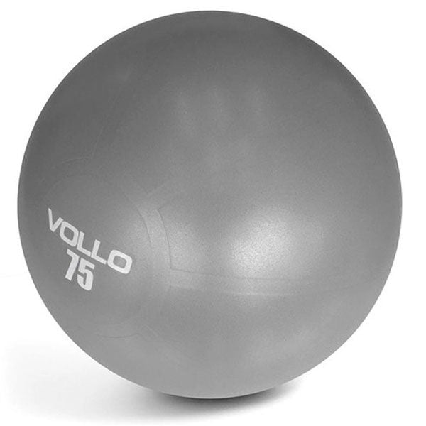 Gym Ball c/Bomba (75cm) - Cinza