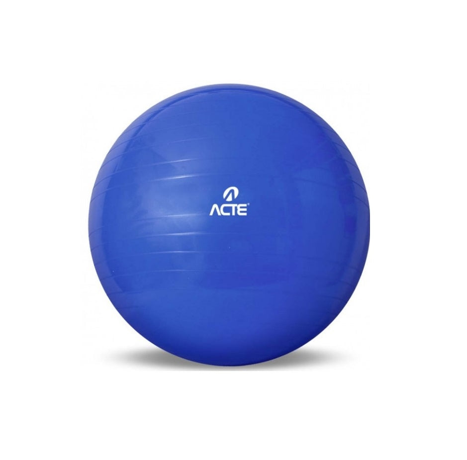 Gym Ball (65cm) - Azul