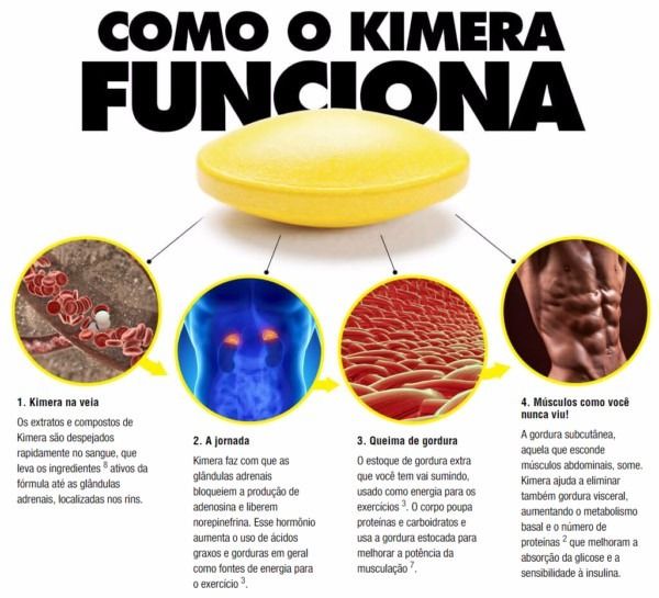 Kimera (60 Caps) - Padrão: Único